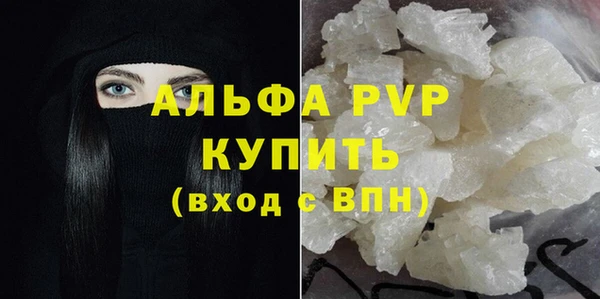 прущие грибы Сафоново