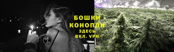 прущие грибы Сафоново