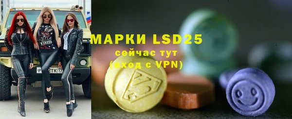 прущие грибы Сафоново