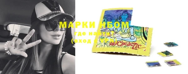 прущие грибы Сафоново