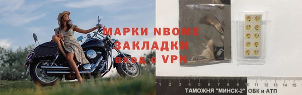 прущие грибы Сафоново