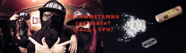 прущие грибы Сафоново