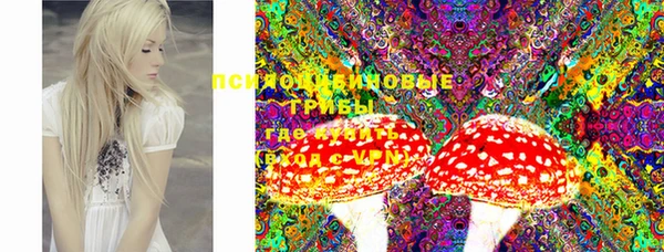 дживик Сатка