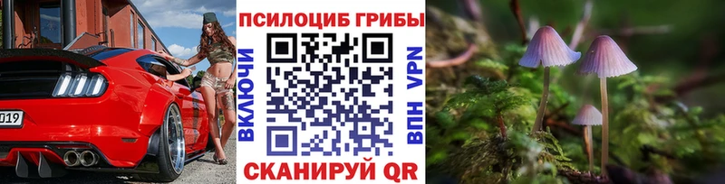 Купить  Заозёрный  Псилоцибиновые грибы мухоморы 